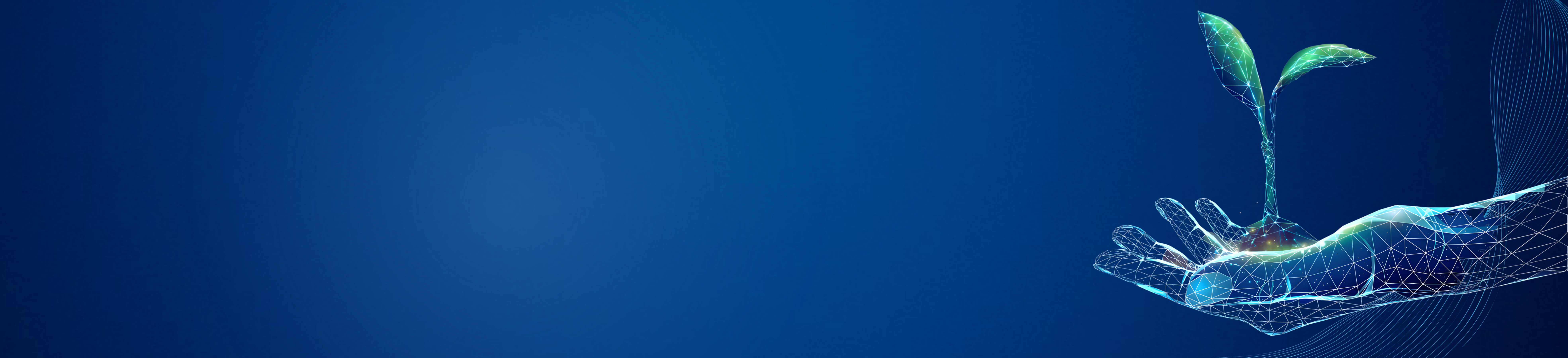 Description Background