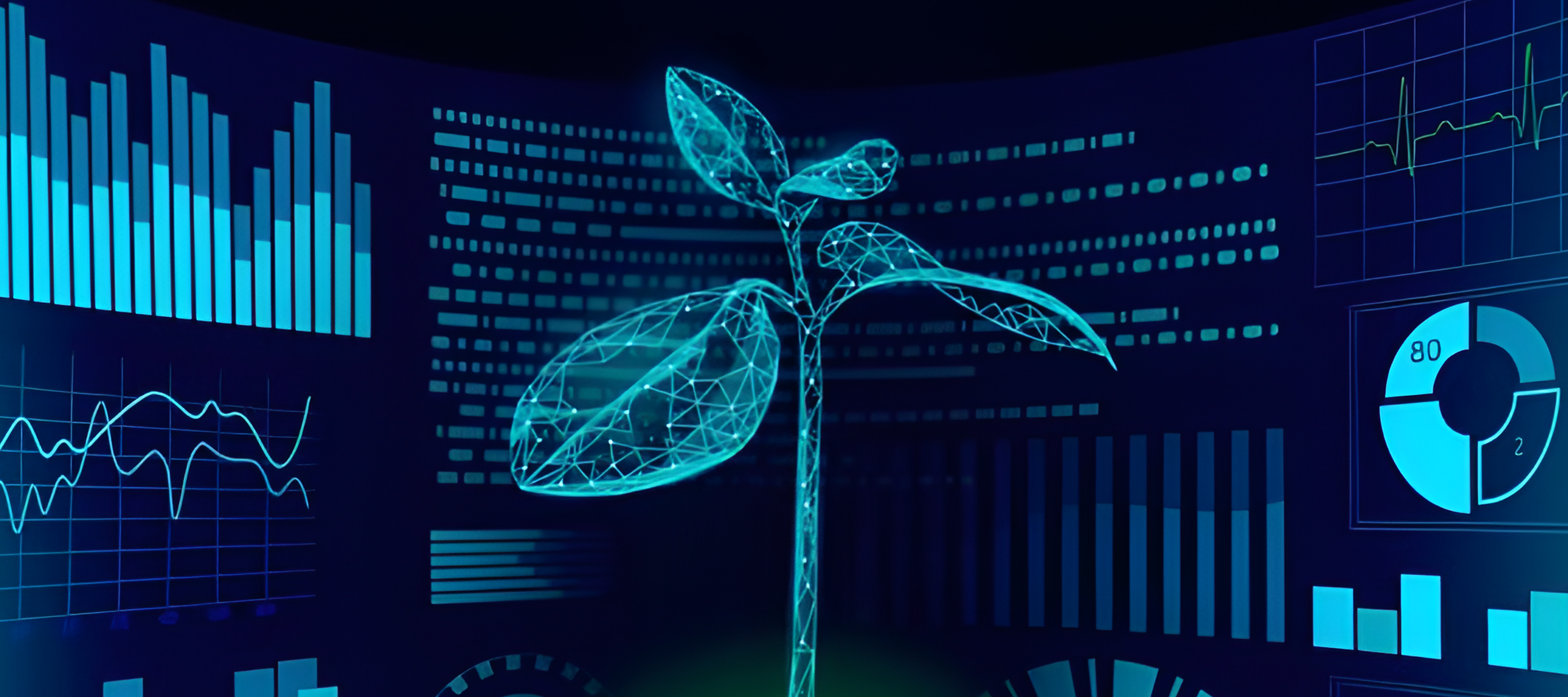 Vision with Discipline