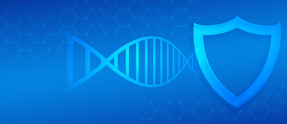 Vision with Discipline